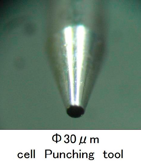 Φ30 μm cell punching tool