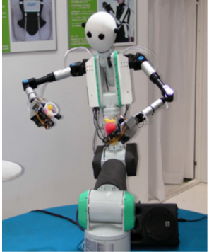Remote control humanoid robot