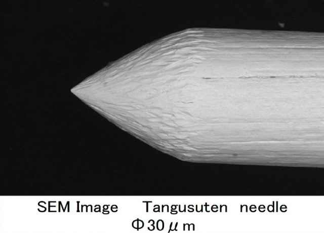 SEM Image Tangusuten needle Φ30㎛